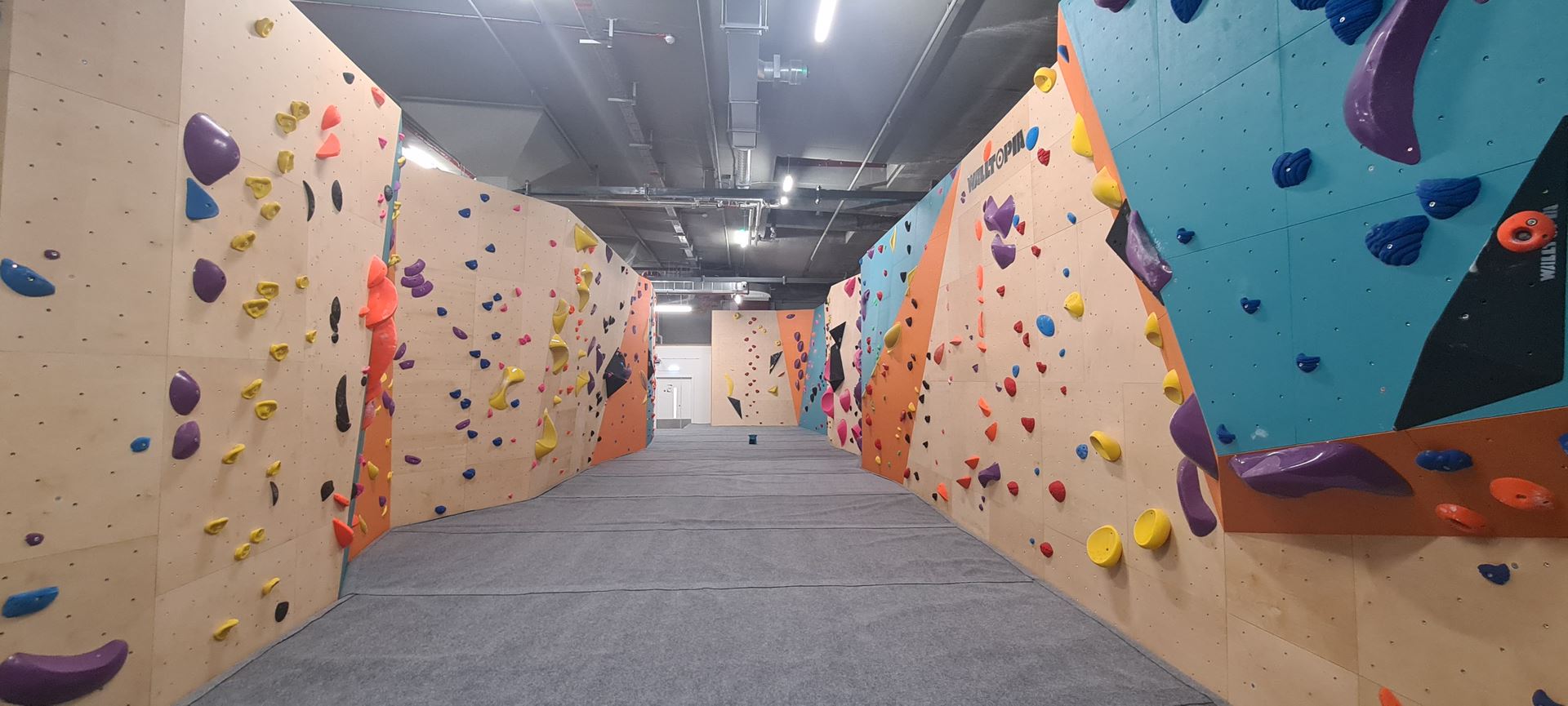 climbing wall